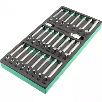 Набор бит 10 мм, Torx, Spline, Hex, 48 пр. в ложементе EVA GARWIN PRO, 646010 Набор бит 10 мм, Torx, Spline, Hex, 48 пр. в ложементе EVA GARWIN PRO, 646010