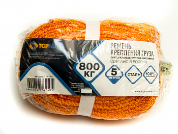 Ремень крепления груза ТОП АВТО, ширина ленты 25мм, 800/1600кг, 5м механизм 110 мм на 800 DaN, РК085